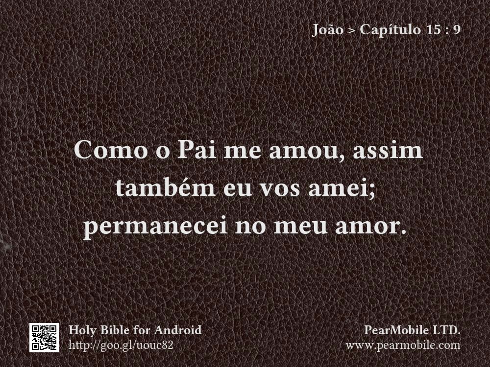 João, Capítulo 15:9